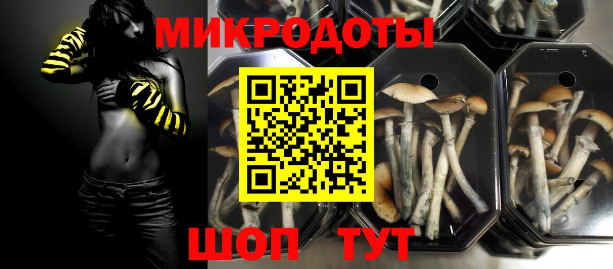 Серов  Псилоцибиновые грибы MAGIC MUSHROOMS  Вход с VPN 