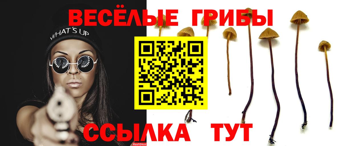 Псилоцибиновые грибы Psilocybe Серов