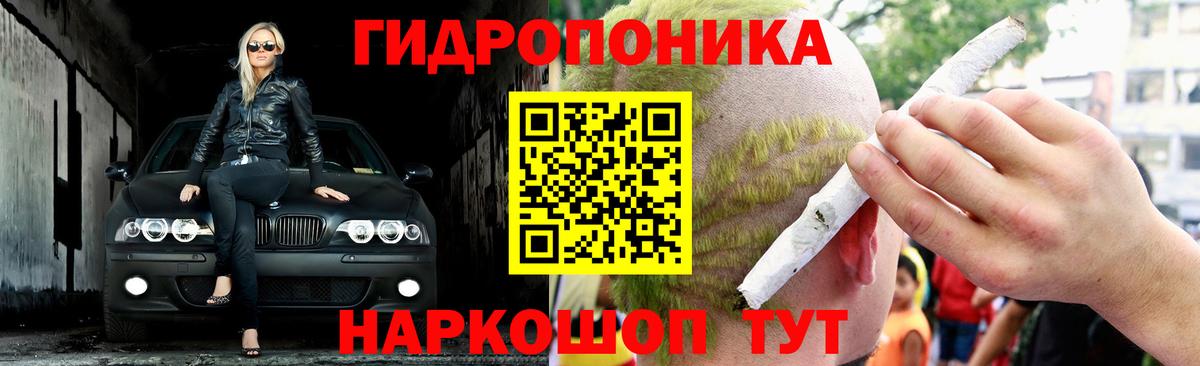 Канабис OG Kush Серов